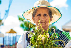 En colombia, dalia bolaños pascal, lideresa indígena en el departamento de nariño: 14 De Noviembre Celebracion Del Dia De La Mujer Colombiana