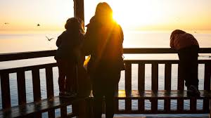 Randy Manley Resources