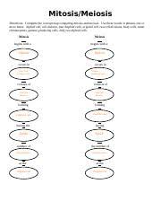 4 effective academic writing 2: Chromosome Number Worksheet Meiosis Mitosis Key Mitosis Meiosis Directions Complete The Concept Map Comparing Mitosis And Meiosis Use These Words Or Course Hero