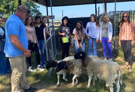 Connections Fall 2024 by Mississippi State University Research & Curriculum  Unit