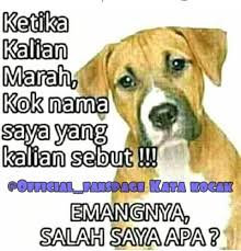Maybe you would like to learn more about one of these? Kata Kocak Home Facebook