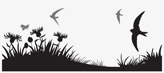 Bear silhouette scene 3.50 x 2.34 add to cart: Nature Scene In Silhouette Wildlife Trusts Seabird Free Transparent Png Download Pngkey