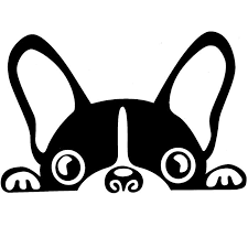 tienda del perro y bulldog frances frenchiemania drawings art stencils coloriage super mario navigateur