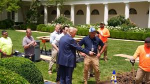 Trump moves planned Rose Garden dinner with tech leaders inside due to  inclement weather