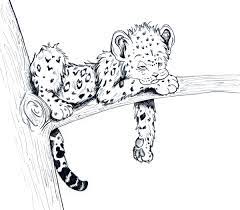 Courtney Dipaola Baby Animal Drawings Animal Sketches Cartoon Drawings Of Animals