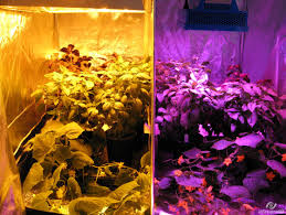 Check spelling or type a new query. Led Grow Light Atlantis Hydroponics Blog