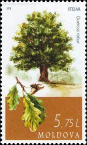 European Oak Quercus Robur Moldova Stamp 2018 Grammatoshma