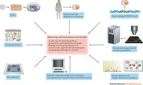 It's easy to learn but very difficult to master.#happyglass #happyglass3stars #happyglass171to180happy glas. Screening Out Irrelevant Cell Based Models Of Disease Nature Reviews Drug Discovery