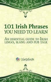 101 Phrases You Need To Know An Essential Guide To Irish Lingo Slang And Pub Talk Irish Phrases Irish Ireland Travel