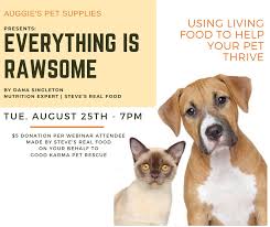 Good karma pet rescue is a small network of foster homes in south florida dedicated to providing dogs and cats in need with the love and help they yet animal shelters are filled with dogs and cats who must find homes. Auggies Doggies Auggiesdoggies Twitter