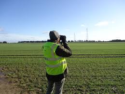Bird Surveys Protected Species Wild Frontier Ecology