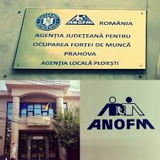 Primaria ploiesti adrian dobre petrotel lukoil ploiesti consiliul judetean prahova isu prahova ajofm prahova prefectura prahova bogdan toader cj. Ajofm Prahova IÈ™i ModificÄƒ Programul De Lucru Phon Ro Ziarul Aproape De Prahoveni