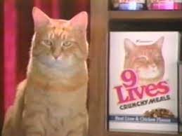 80 S Ads 9 Lives Cat Food Cats Cat Food Funny Gif