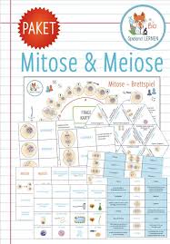 Mega Sparpaket Mitose Meiose 20x Aktivitaten Und Spiele Unterrichtsmaterial Im Fach Biologie In 2020 Biologie Domino Spiele Unterrichtsmaterial