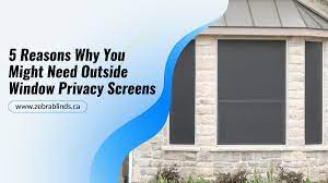 Pretty diy window privacy screen. 5 Reasons Why You Might Need Outside Window Privacy Screens