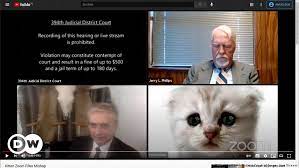 The images of this meeting have been viralized in countries such as mexico, the united states and spain. I Am Not A Cat Courtroom Zoom Mishap Goes Viral News Dw 10 02 2021
