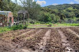 Check spelling or type a new query. How To Attract And Keep Earthworms In Your Garden Organic Gardening Tips