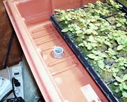Hydroponic ebb & flow systems. How To Build An Ebb And Flow Hydroponic System Greentrees Hydroponics
