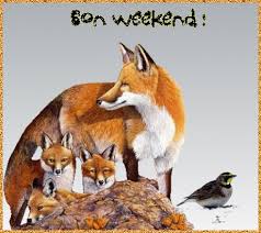 Résultat de recherche d'images pour "gifs animés bon week end"