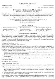 Information Technology Management Resume Example It Sample In 2020 Resume Summary Examples Resume Software Resume Examples