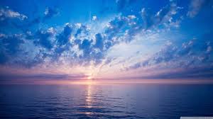 Live video wallpaper is a great way to please yourself with a fresh design, without changing the elements of the operating system interface. Free Screen Backgrounds Hd Wallpapers Desktop Wallpapers