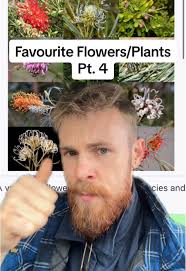 Western Australia Country Native Garden Ideas