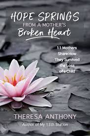 Hope Springs From A Mother S Broken Heart 11 Mothers Share How They Survived The Loss Of A Child Kindle Edition By Anthony Theresa Religion Spirituality Kindle Ebooks Amazon Com