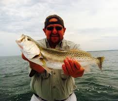 The spring inshore action has sprung! Our Tampa Bay Fishing Charters Are Fun And Action Filled Adventures For All People In Tampa Bay Florida Areas And Fishing Charters Tampa Bay Tampa Bay Florida