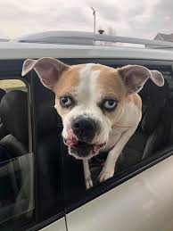 We're always here to help. Coffee Hound Home Facebook