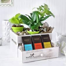 It is also a very pleasant flower to have around. Prosperity Pack Of Good Luck Order Birthday Flowers Online Interflora India