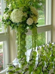 images?q=tbn:ANd9GcSW_-QadrBRR6ypmDEAKmM