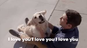 Share the best gifs now >>> I Love Dogs Gifs Get The Best Gif On Giphy