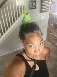 I miss PythonMC, glad he's uploading again