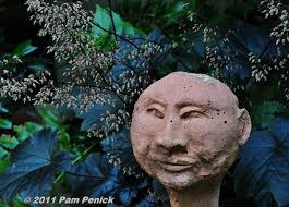 Dad's deer-proof, lawnless courtyard garden