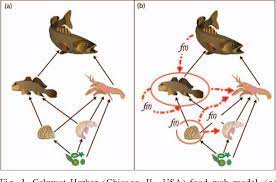 Many anglers are reporting stuffed bellies of gobies in most of their catches and have had to change tactics in order to catch and find fish. Figure 3 From Chemical Amplification In An Invaded Food Web Seasonality And Ontogeny In A High Biomass Low Diversity Ecosystem Semantic Scholar