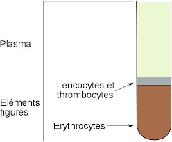 Bonjour j ai fait une prise de sang et j ai un taux de monocytes de 0,69 et un taux de leucocytes de 13000 /ml et un taux de hématies de 16000/ml es que je suis malade car je n ai toujours pas regles depuis un mois et tout les test sont negatif merci de votre reponse. Pourquoi Mesure T On Le Taux D Hematocrite