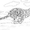 You can use our amazing online tool to color and edit the following cheetah coloring pages for adults. 1
