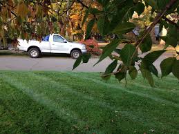 The poeple of longmont are committed to protecting the environment and this quaint town is one of the greenest communities in colorado. Organic Lawn Care In Branford The Greenscaping Company