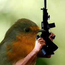 Birds With Human Arms Gunner Birds Arms Bird Boxes