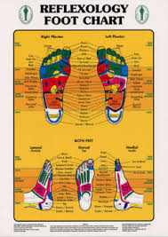 Study Charts Reflexology Training Courses Certified