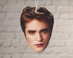 City of Forks Embroidered Sweatshirt: Washington Forest Hoodie