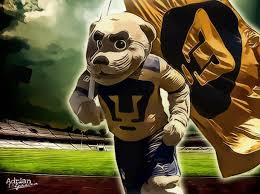 Updated on may 16, 2014. Free Download Pumas Unam Wallpapers 6539741jpeg 609x456 For Your Desktop Mobile Tablet Explore 49 Pumas Unam Wallpapers Pumas Wallpaper
