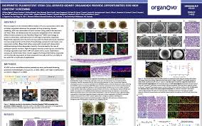 Chances are you've heard about stem cells and stem cell therapy before. Bioprinted Pluripotent Stem Cell Derived Kidney Organoids Provide Opportunities For High Content Screening Organovo Inc