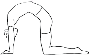 Cat Cow For Wall Yoga Men Poses Wall Yoga Yoga For Men Yoga