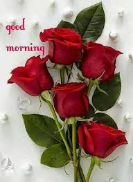 Pin By Ponni Selvam On Selvi Purple Roses Rose Flower Red Roses