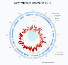 Radar Weather Chart Fullstack D3 And Data Visualization