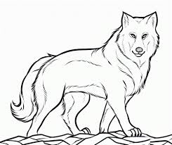 Check spelling or type a new query. Wolf Coloring Pages Free Printable Coloring Pages For Kids