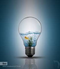 Bulb And Fish Light Bulb Art Creative Design Art Surrealism Photography