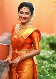 Protected Blog Log In South Indian Bride Indian Bridal Hindu Bride
