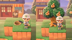 New horizons on switch has a variety of different tree types, all of which carry over from previous games. Plant Trees On Cliff Edges In Animal Crossing New Horizons With This Handy Glitch Animal Crossing World